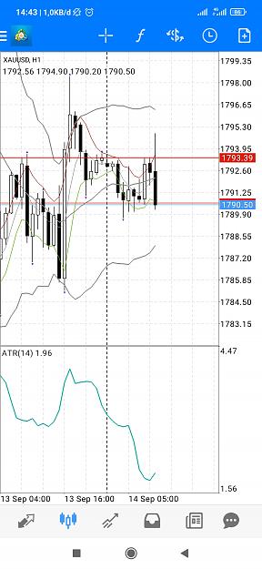 Click to Enlarge

Name: Screenshot_2021-09-14-14-43-49-987_net.metaquotes.metatrader4.jpg
Size: 512 KB