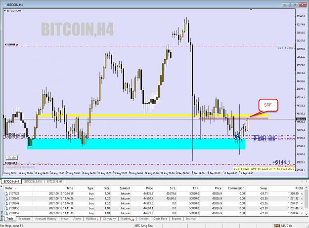Click to Enlarge

Name: btc 002.jpg
Size: 115 KB