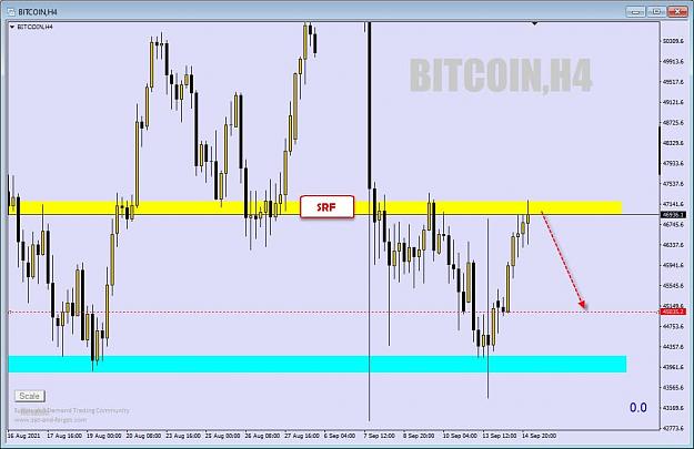 Click to Enlarge

Name: btc 003.jpg
Size: 58 KB