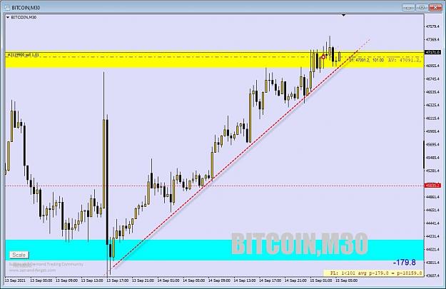 Click to Enlarge

Name: BTC 006.jpg
Size: 65 KB