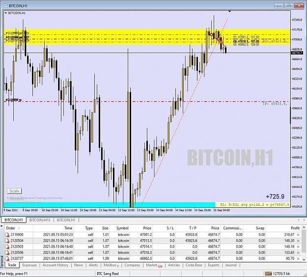 Click to Enlarge

Name: btc 007.jpg
Size: 106 KB