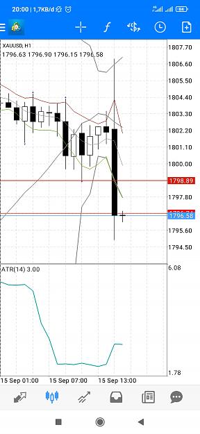 Click to Enlarge

Name: Screenshot_2021-09-15-20-00-10-330_net.metaquotes.metatrader4.jpg
Size: 450 KB