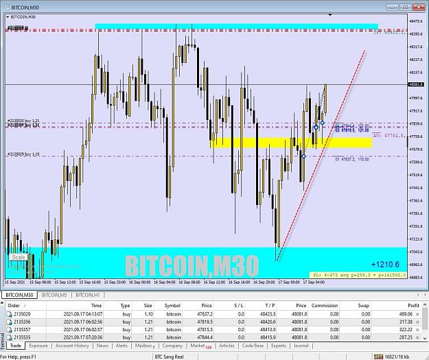 Click to Enlarge

Name: btc 001.jpg
Size: 114 KB