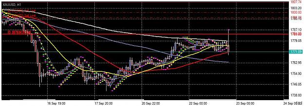 Click to Enlarge

Name: Chart_XAUUSD, H1_20210922_204126.jpg
Size: 68 KB