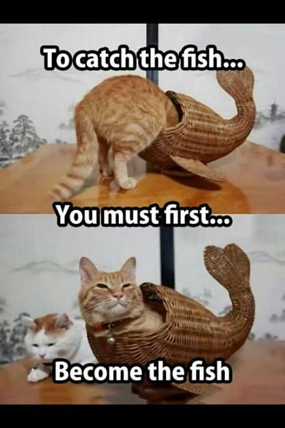 Click to Enlarge

Name: catcatch.jpg
Size: 43 KB