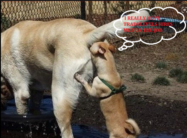 Click to Enlarge

Name: PAULA.png
Size: 726 KB