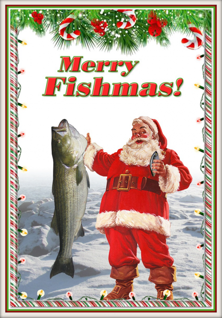 Click to Enlarge

Name: fishmas.png
Size: 1.6 MB