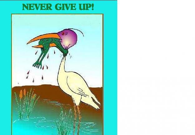 Click to Enlarge

Name: never give up.jpg
Size: 29 KB
