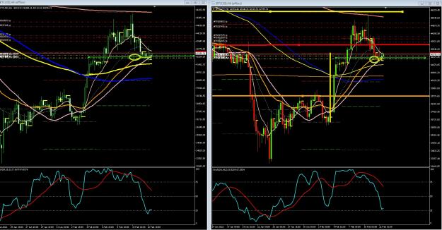 Click to Enlarge

Name: 6 gold 1.jpg
Size: 487 KB