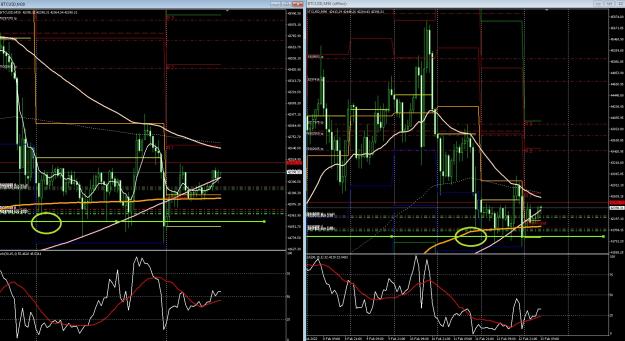 Click to Enlarge

Name: 6 gold 3.jpg
Size: 503 KB