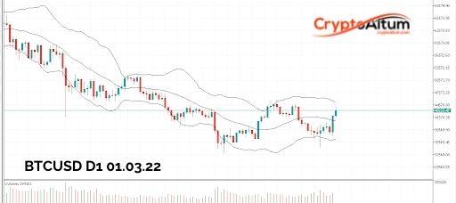 Click to Enlarge

Name: BTC-Price-May-Retest-$45k.jpg
Size: 21 KB