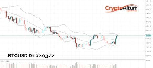 Click to Enlarge

Name: BTC-Bulls-Firm.jpg
Size: 20 KB