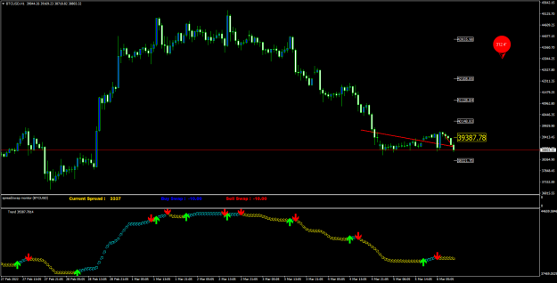 Click to Enlarge

Name: BTCUSDH1.png
Size: 41 KB