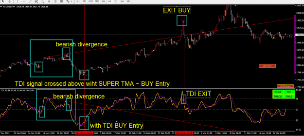 Click to Enlarge

Name: SUPER TMA DIVERGENCE.PNG
Size: 58 KB