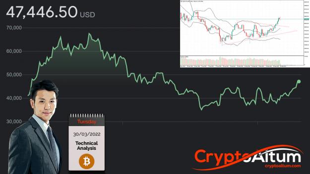 Click to Enlarge

Name: BTC-Buyers-Aiming-for-$50k.jpg
Size: 313 KB