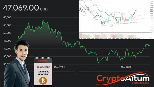 Click to Enlarge

Name: BTC-Upside-Momentum-Dwindling.jpg
Size: 404 KB
