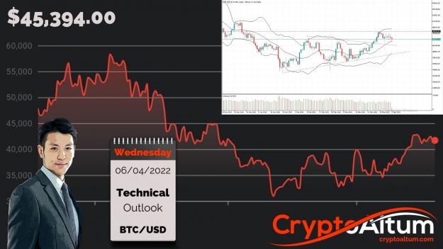 Click to Enlarge

Name: BTC-Bulls-Slowing-Down.jpg
Size: 209 KB