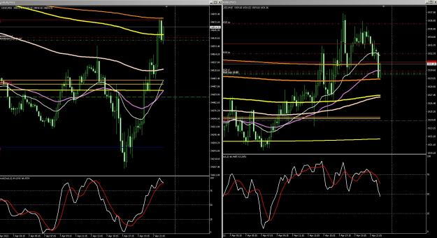 Click to Enlarge

Name: 6 gold 2.jpg
Size: 397 KB