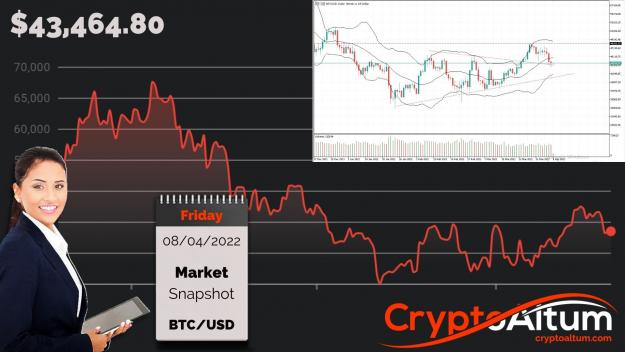 Click to Enlarge

Name: BTC-Under-Pressure.jpg
Size: 203 KB