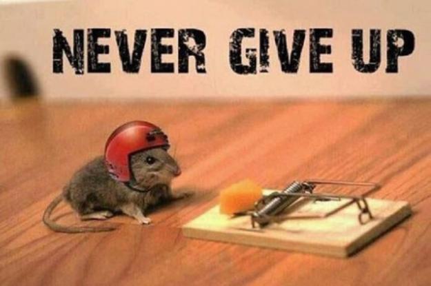 Click to Enlarge

Name: hard hat day.jpg
Size: 87 KB