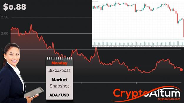 Click to Enlarge

Name: ADA-Remains-Under-Pressure.jpg
Size: 170 KB