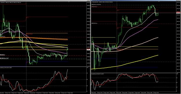 Click to Enlarge

Name: 6 gold.jpg
Size: 410 KB