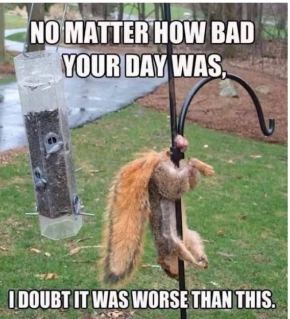 Click to Enlarge

Name: bad day.jpg
Size: 147 KB