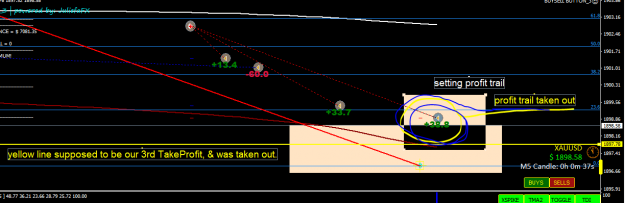 Click to Enlarge

Name: PROFIT TRAIL TAKEN.PNG
Size: 35 KB