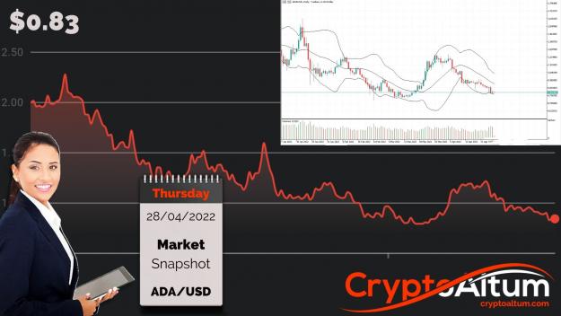 Click to Enlarge

Name: ADA-Bears-Targeting-$0.75.jpg
Size: 184 KB