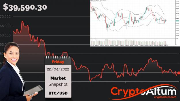 Click to Enlarge

Name: BTC-Rebuffs-Sellers.jpg
Size: 204 KB