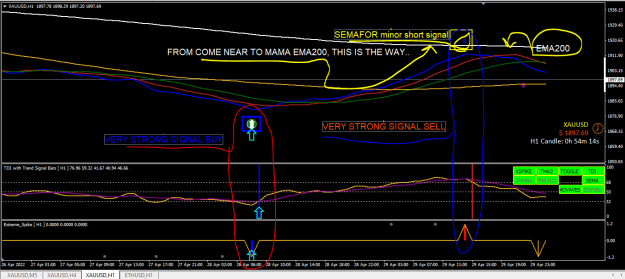 Click to Enlarge

Name: SEMAFOR H1.PNG
Size: 58 KB