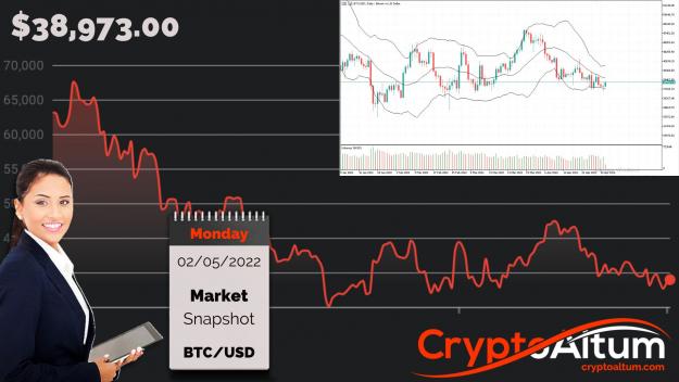 Click to Enlarge

Name: BTC-Prices-Held-Below-$40.5k.jpg
Size: 200 KB