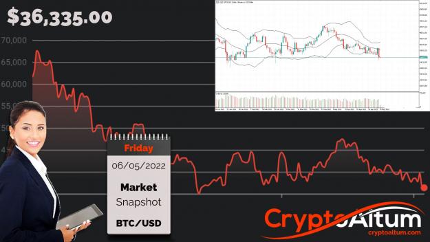 Click to Enlarge

Name: BTC-Free-Falling.jpg
Size: 195 KB
