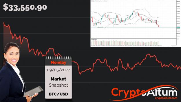 Click to Enlarge

Name: BTC-Sell-Off-Continues.jpg
Size: 184 KB
