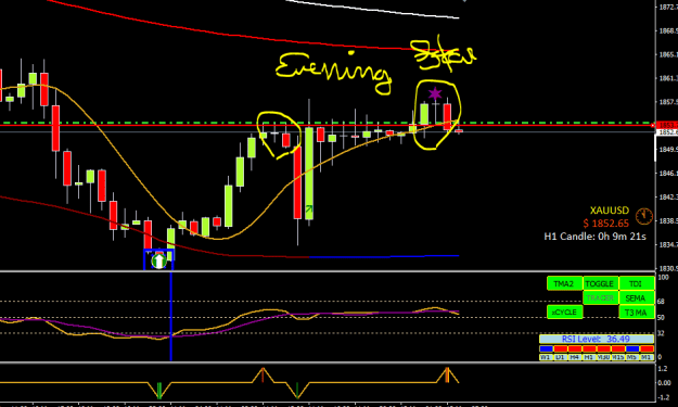 Click to Enlarge

Name: BEAR EVENING STAR 2.PNG
Size: 16 KB