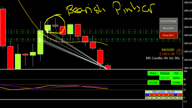 Click to Enlarge

Name: BEAR PINBAR 1.PNG
Size: 13 KB