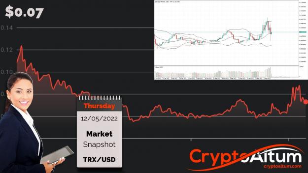 Click to Enlarge

Name: TRX-Holds-Above-$0.07.jpg
Size: 180 KB