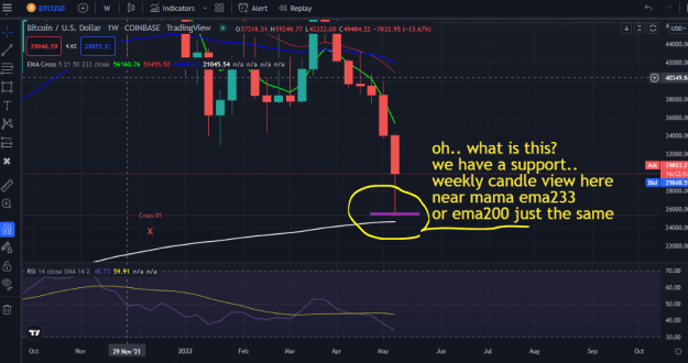 Click to Enlarge

Name: BTC WHT IS THIS.PNG
Size: 54 KB