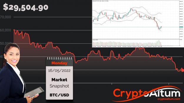 Click to Enlarge

Name: BTC-Bearish-Below-$32k.jpg
Size: 188 KB
