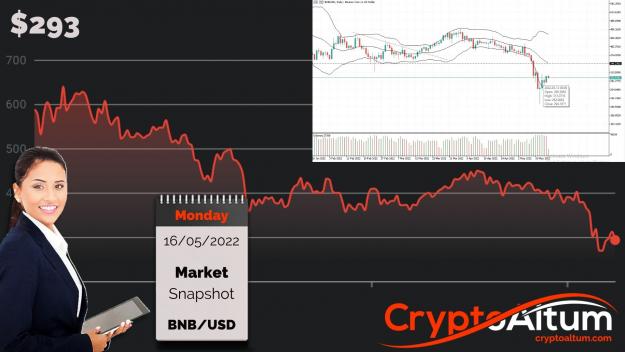 Click to Enlarge

Name: BNB-in-$50-Range.jpg
Size: 195 KB