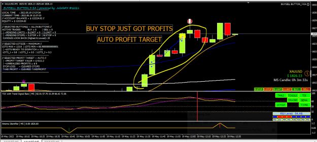 Click to Enlarge

Name: BUY STOP PROFITS.PNG
Size: 33 KB
