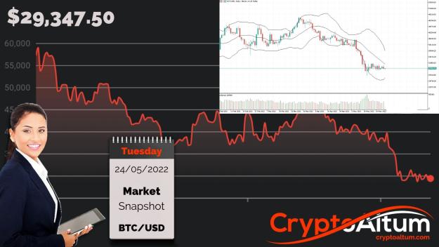Click to Enlarge

Name: BTC-Prices-in-Bear-Flag.jpg
Size: 196 KB