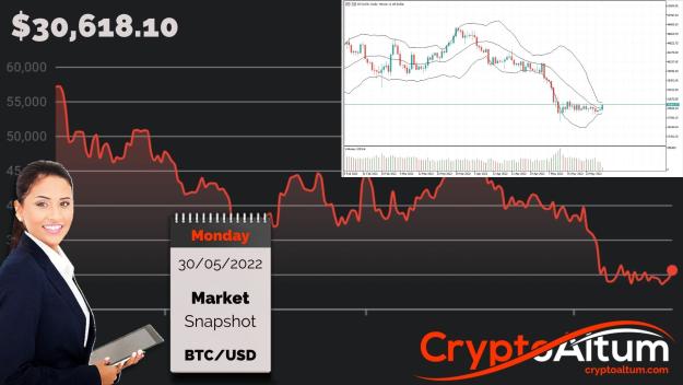 Click to Enlarge

Name: BTC-Prices-Above-Bear-Flag.jpg
Size: 194 KB
