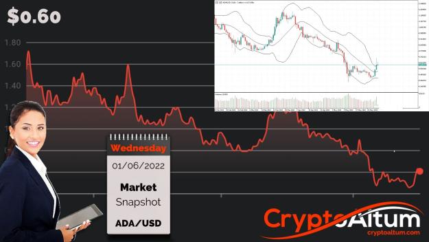 Click to Enlarge

Name: ADA-Breakout-Formation.jpg
Size: 197 KB