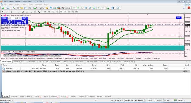 Click to Enlarge

Name: Trade 8 open.JPG
Size: 193 KB