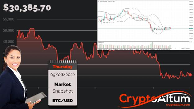 Click to Enlarge

Name: BTC-Swings-in-$32k-Zone.jpg
Size: 194 KB
