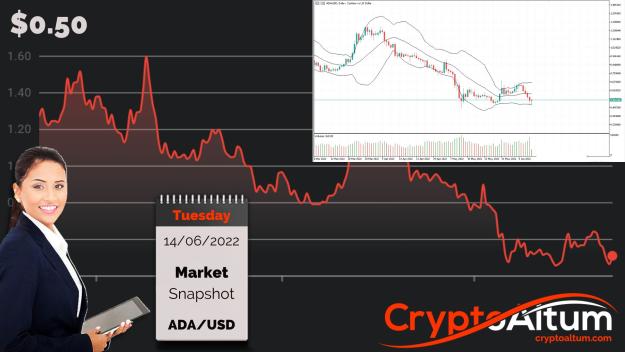 Click to Enlarge

Name: ADA-Bulls-Reject-Bears.jpg
Size: 186 KB