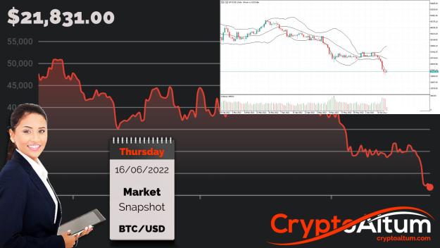 Click to Enlarge

Name: BTC-Recovers.jpg
Size: 181 KB