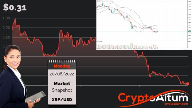 Click to Enlarge

Name: XRP-Adds-5-Percent.jpg
Size: 180 KB
