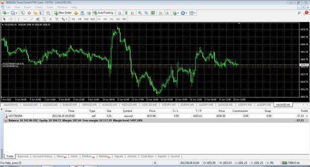 Click to Enlarge

Name: Trade 16 opened.JPG
Size: 213 KB